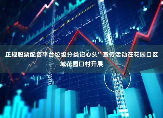 正规股票配资平台垃圾分类记心头”宣传活动在花园口区域花园口村开展