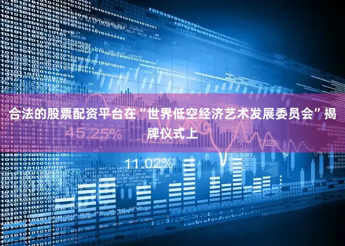 合法的股票配资平台在“世界低空经济艺术发展委员会”揭牌仪式上